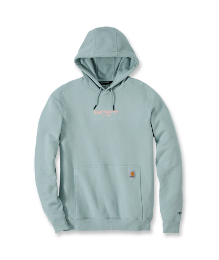 105569 HA4 Large DRESSIPLUUS CARHARTT FORCE™ - Image 2