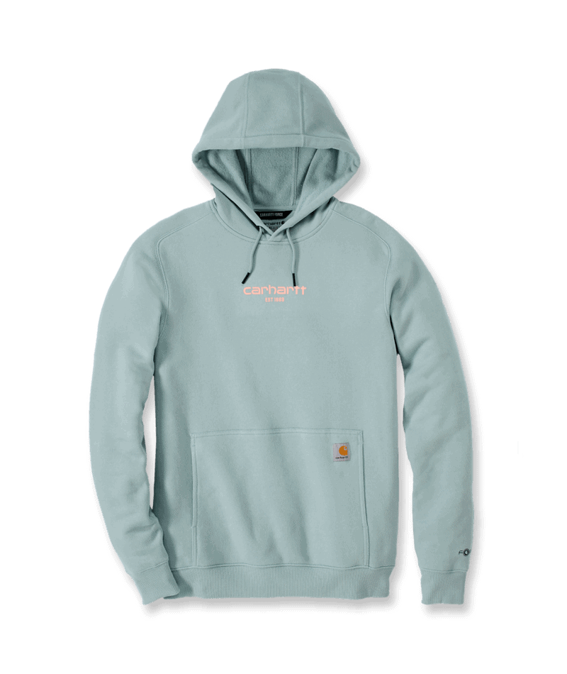 105569 HA4 Large DRESSIPLUUS CARHARTT FORCE™ - Image 1